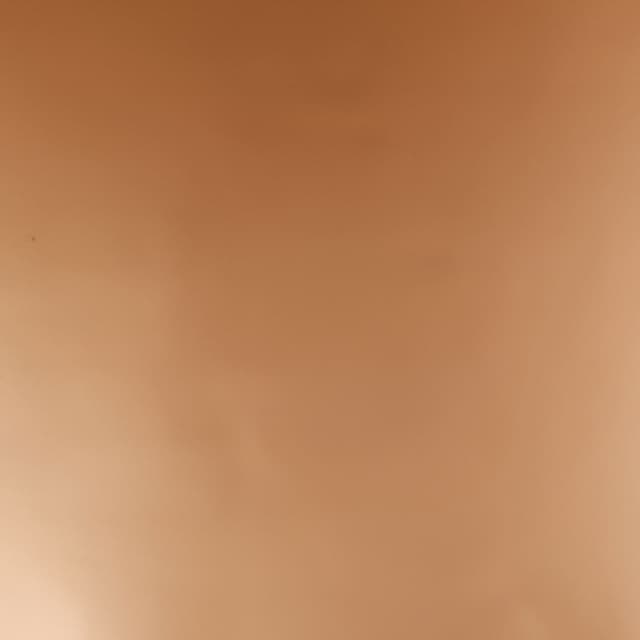 Metallic Cinnamon Vinyl