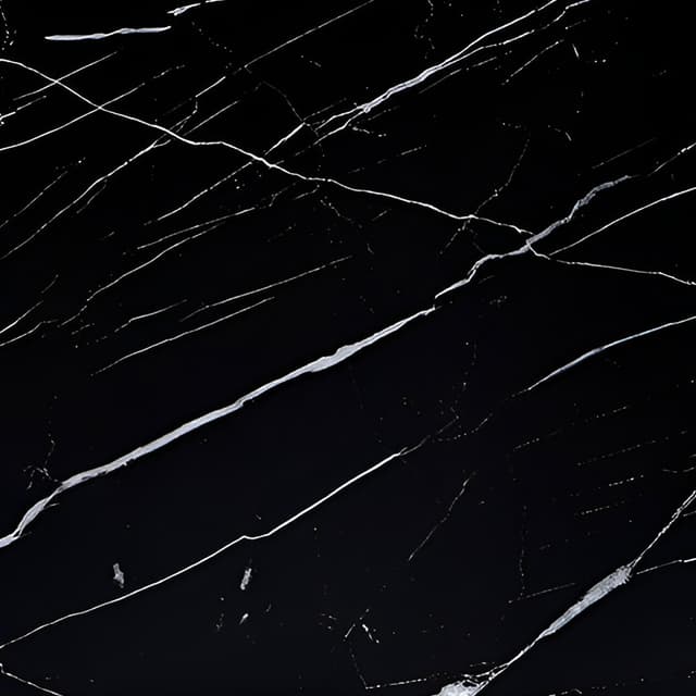 Black Veined Marble