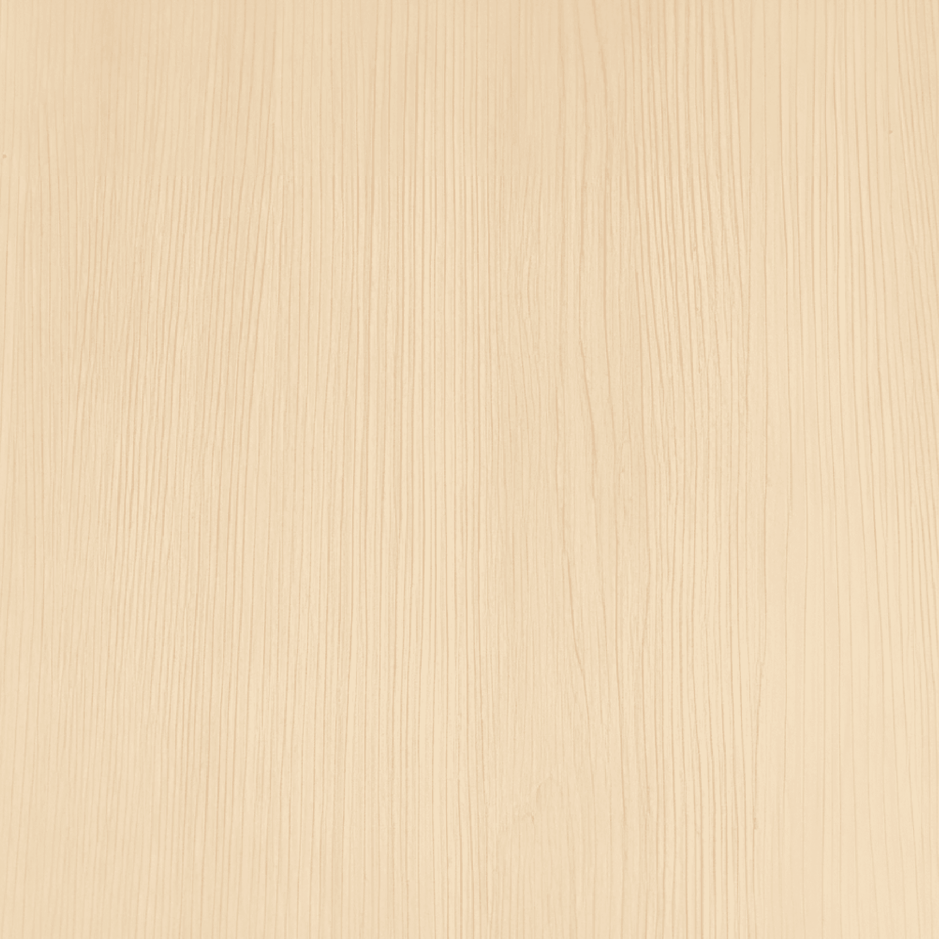 Sandy Birch Vinyl Wrap