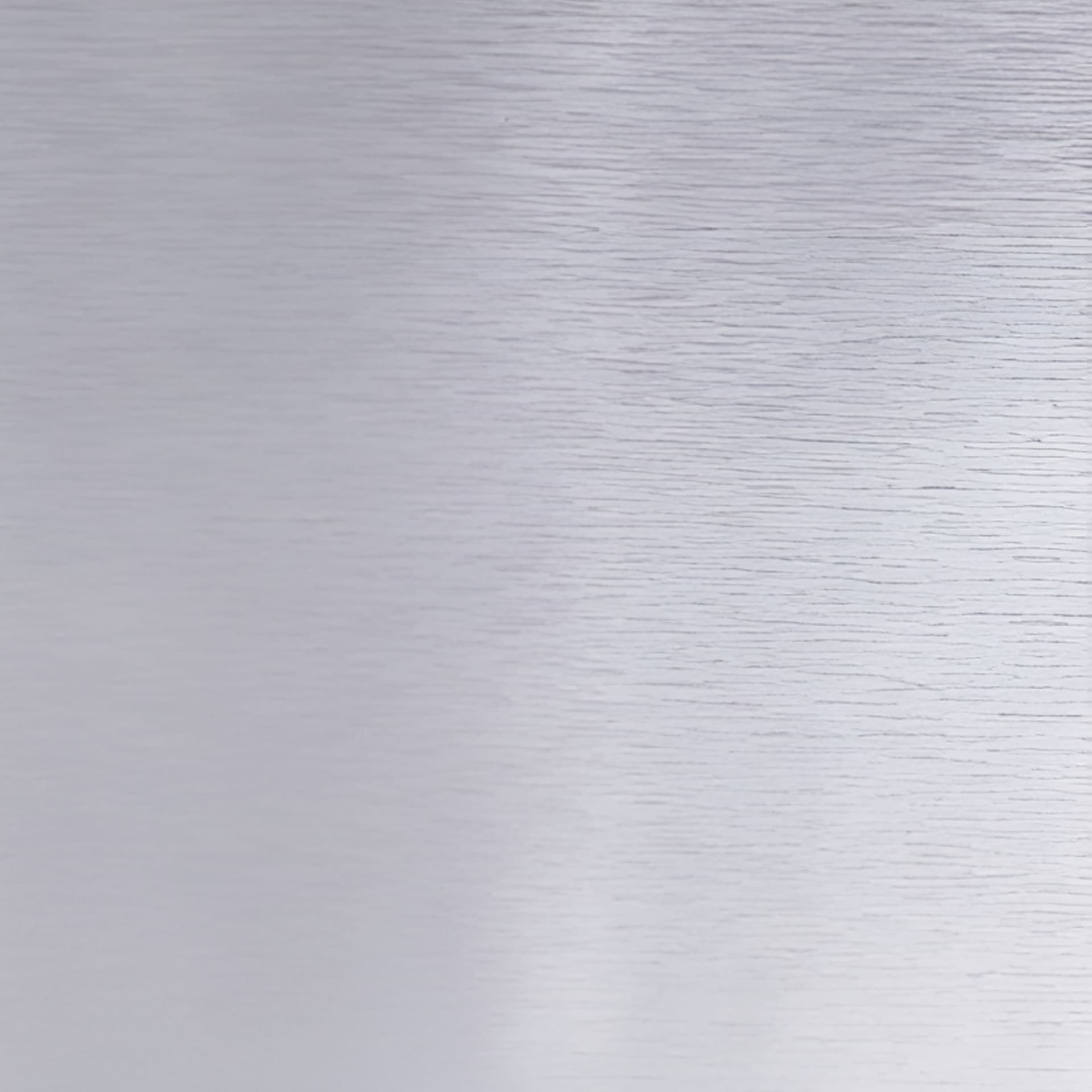 Metallic Coin Vinyl