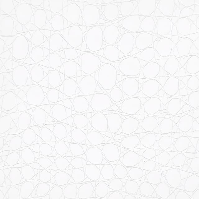 Pure White Vinyl Wrap