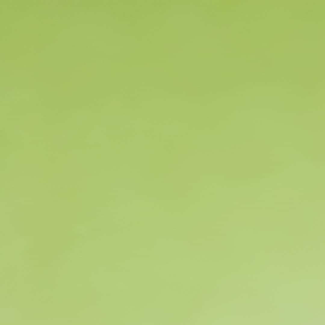 Pistachio Green Vinyl Film