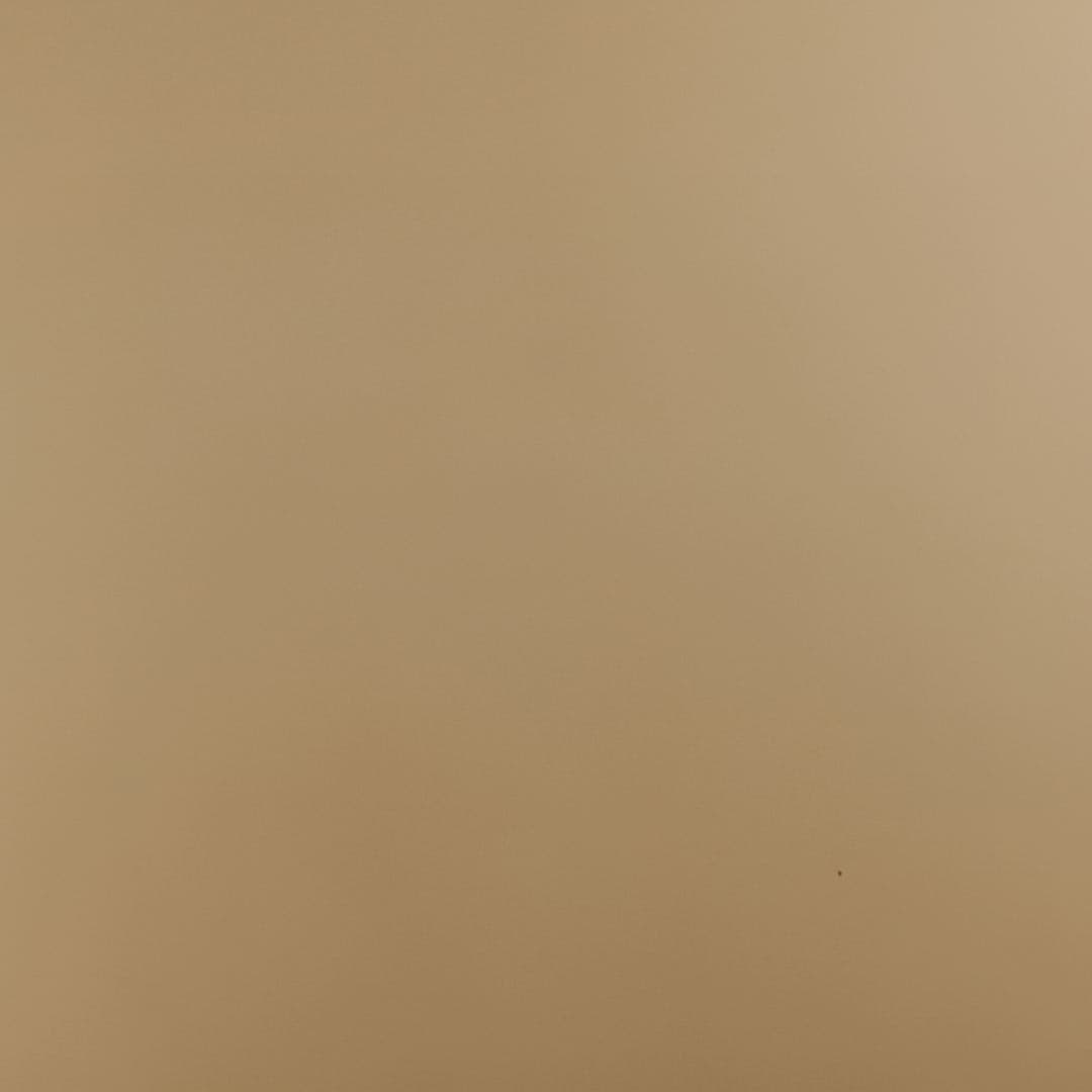 Metallic Caramel Vinyl