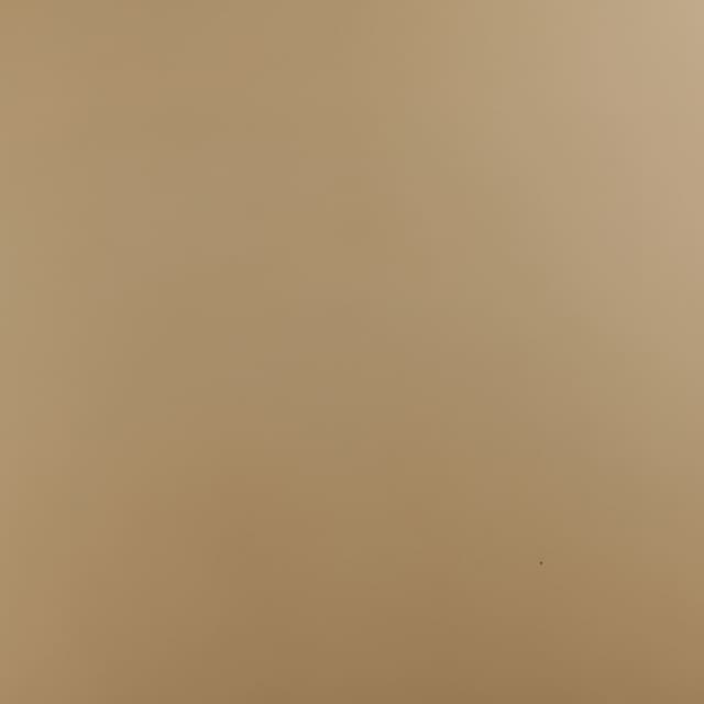 Metallic Caramel Vinyl