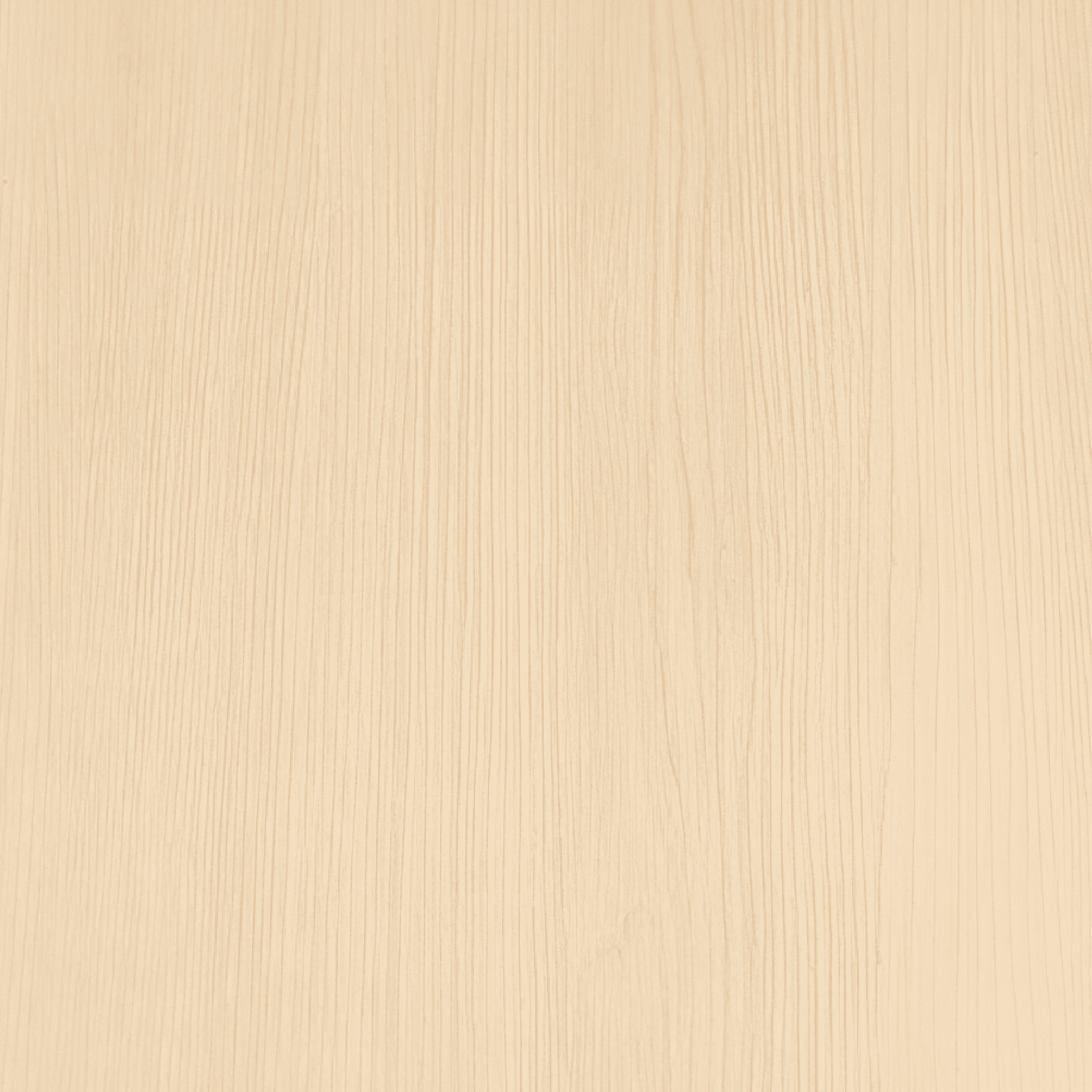 Sandy Birch Vinyl Wrap